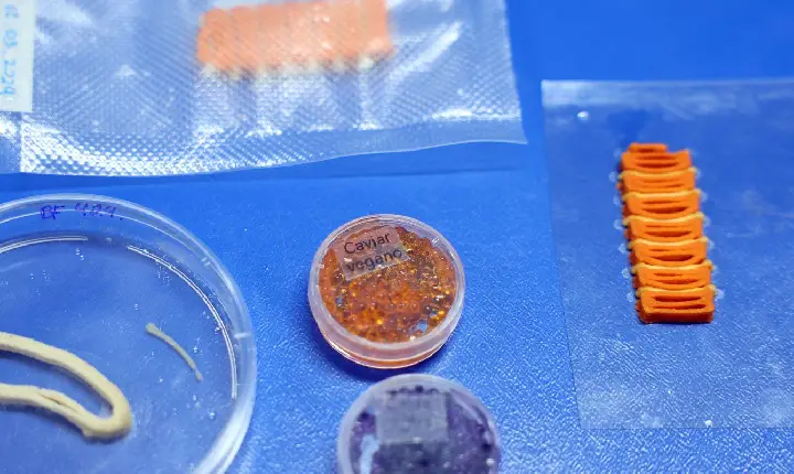 Embrapa produz em laboratório salmão, caviar e anéis de lula veganos