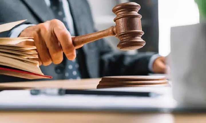 Justiça condena homem por maus-tratos a animais em Piratini