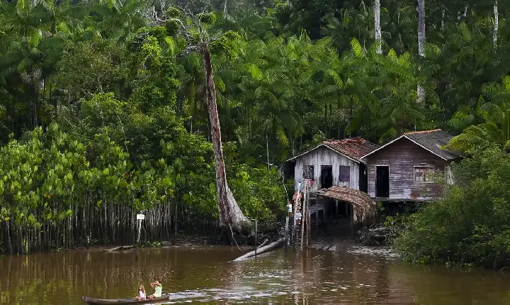 Projeto leva tratamento gratuito a doenças negligenciadas no Amazonas