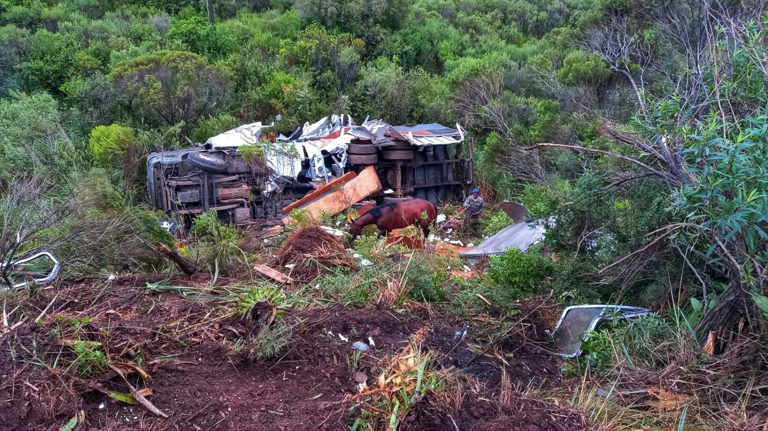 Caminhão com cavalos cai em barranco na BR 293