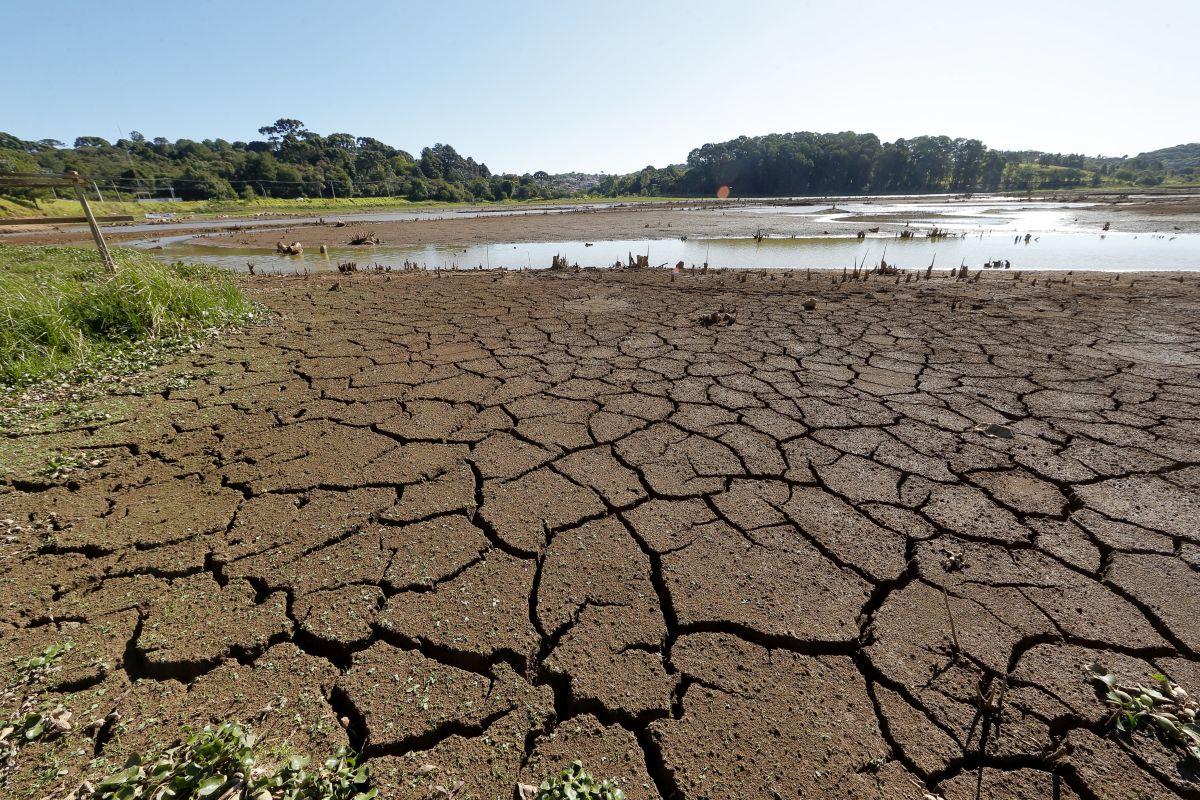 Vereadores de Bagé articulam em Brasília R$ 2 milhões para conter avanço da estiagem
