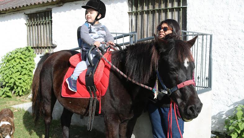 Governo Municipal oferece terapia com cavalos para crianças no espectro autista