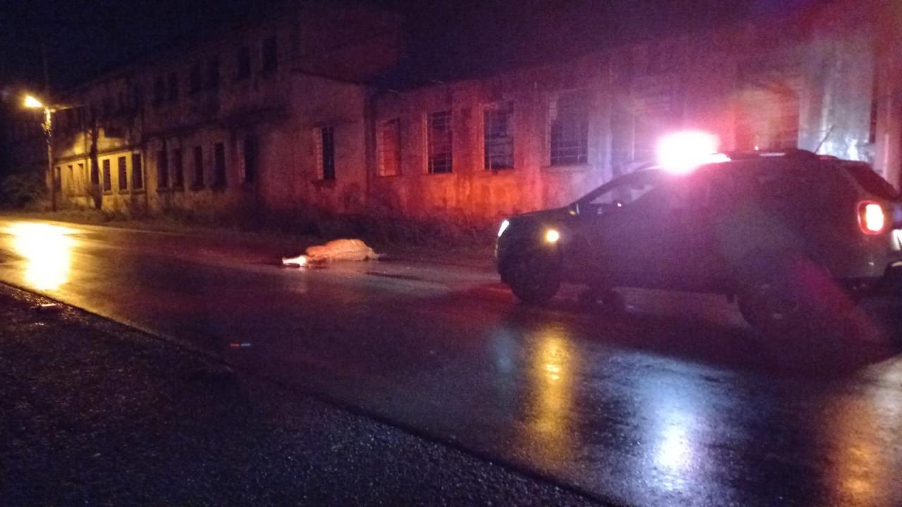Carro colide em cavalo na Visconde de Ribeiro Magalhães