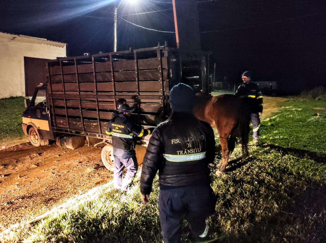 Operação Via Protegida é realizada pela Secretaria Municipal de Segurança e Mobilidade Urbana