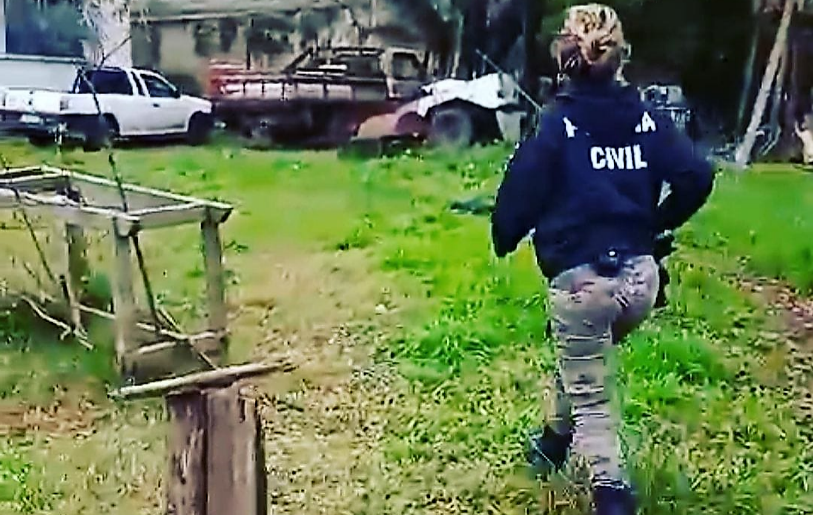 Polícia Civil resgata animais em situação de maus tratos em Bagé