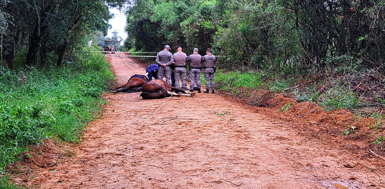 Boletim de ocorrência diz que equatorial sabia da situação desde a noite passada mas em nota concessionária diz que aguardará apurações