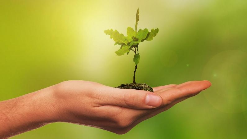 Bagé terá ações no mês do Meio Ambiente