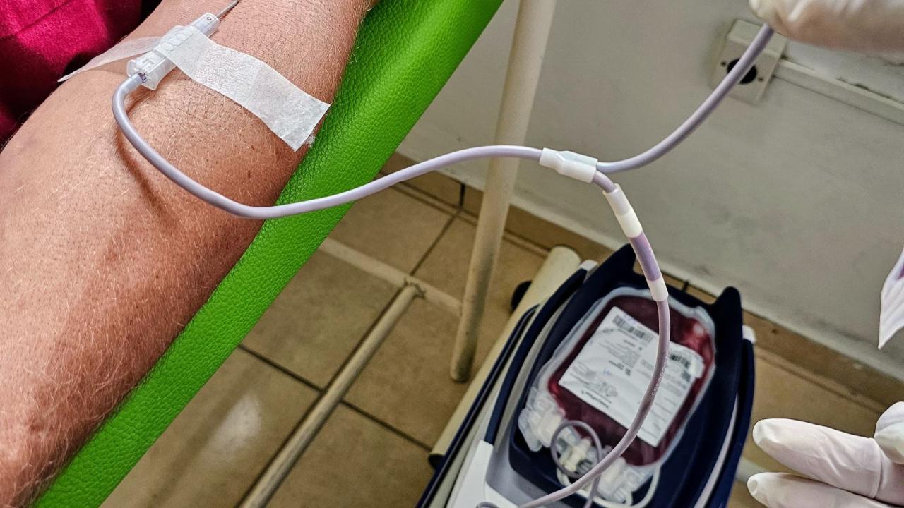Campanha de coleta de sangue cadastra mais de 90 voluntários em Bagé