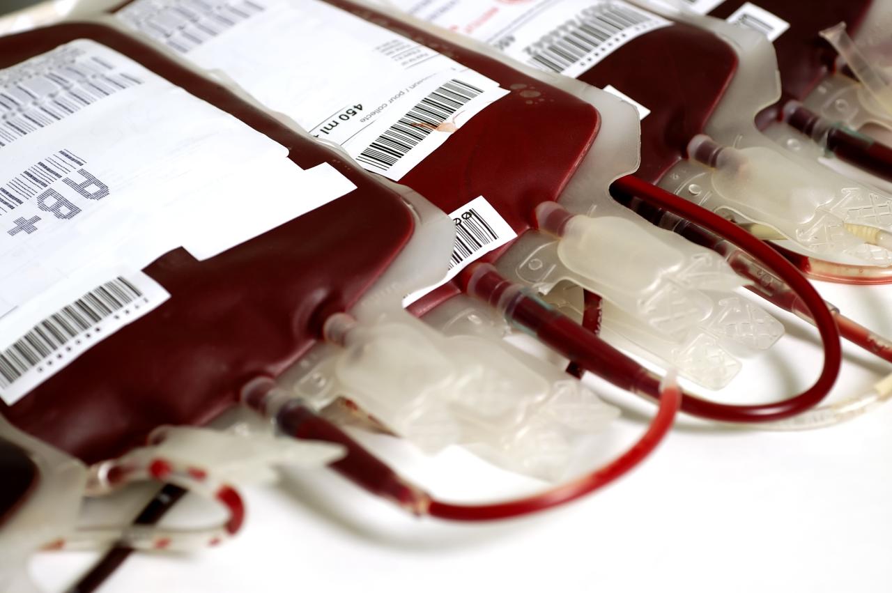 Campanha de doação de sangue recebeu somente 29 cadastros neste sábado em Bagé