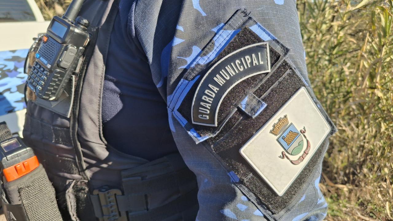 Guarda Civil Municipal dobra número de atendimentos no primeiro semestre de 2025