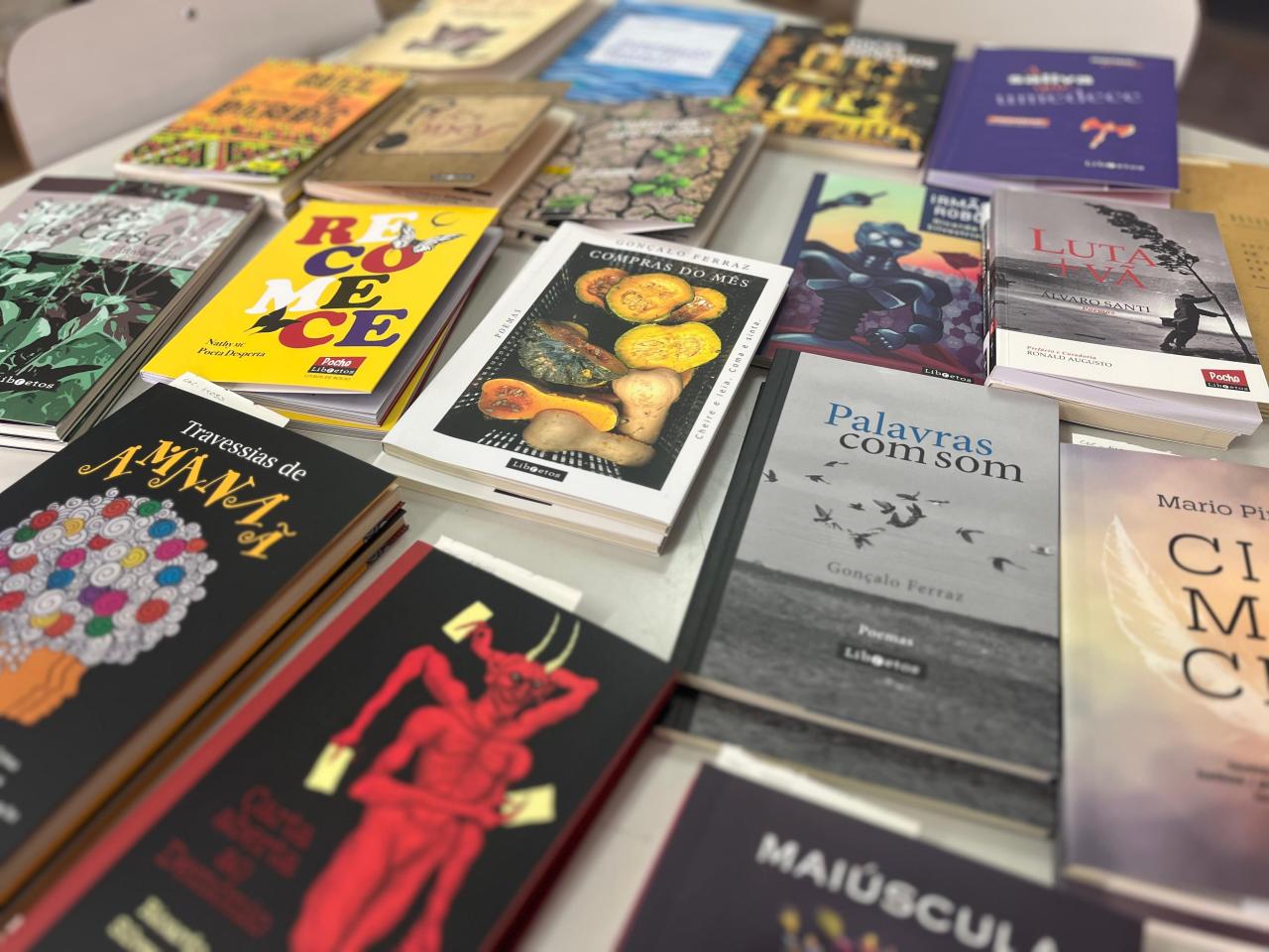 Biblioteca Pública Municipal recebe doação de mais de 400 livros