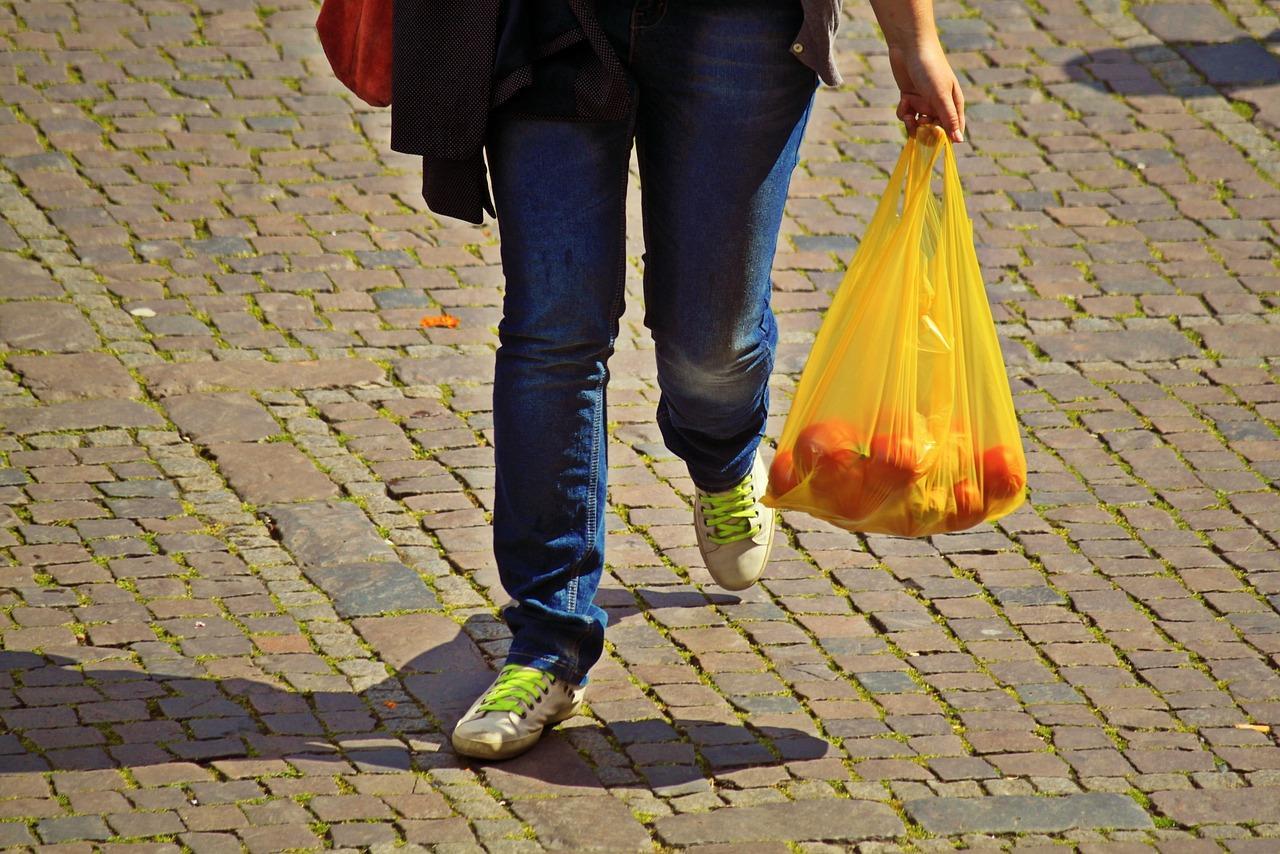 Comissão aprova Projeto que visa restrição ao uso de sacolas plásticas em supermercados de Bagé