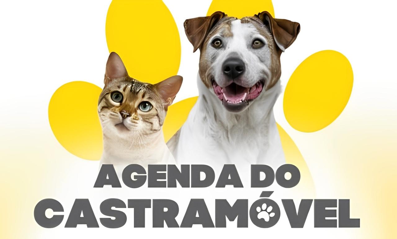 Confira os locais de atendimento da Coordenadoria do Bem Estar Animal para a próxima semana