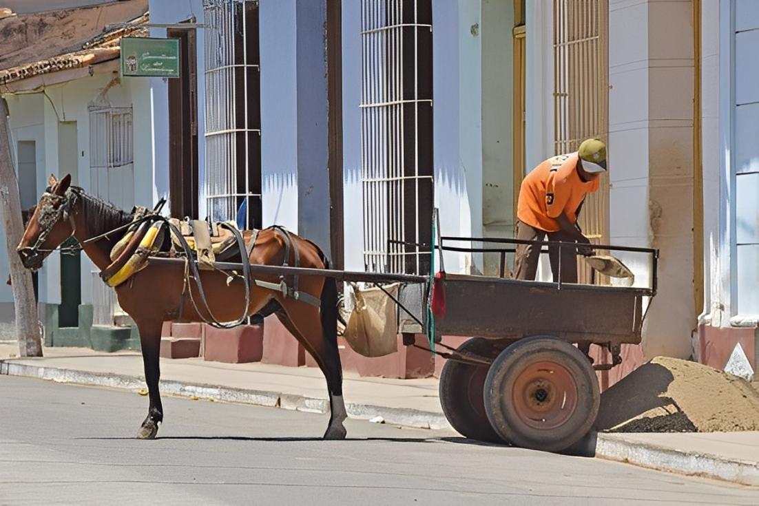 Comissão aprova projeto que criminaliza uso de veículo com tração animal
