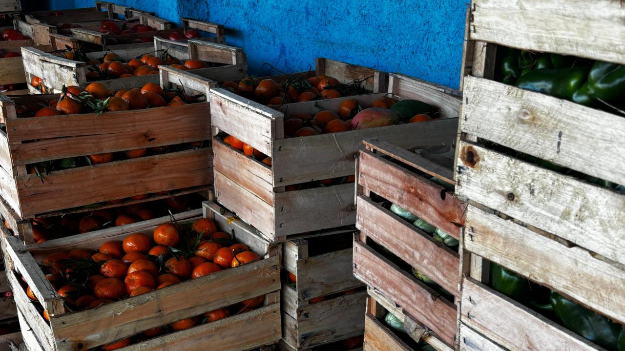 Escolas de Bagé recebem doação de frutas e verduras