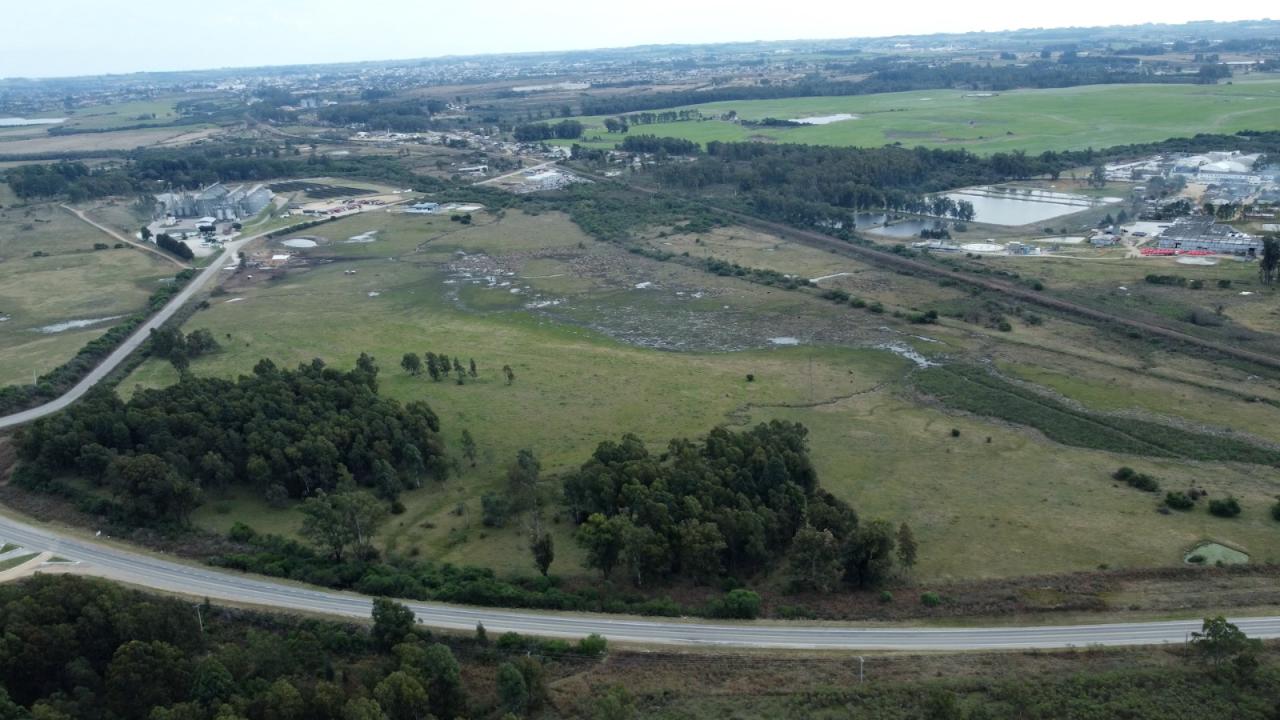 Município anuncia tratativas para a instalação de esmagadora de soja na área do Distrito Industrial
