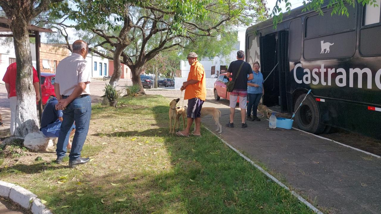 Animais em situação de maus-tratos recebem castração pelo NBPA