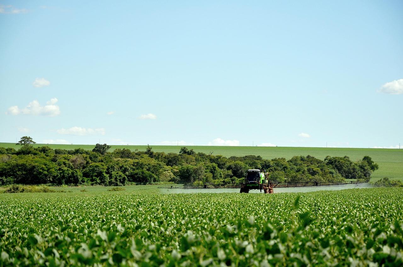 Bagé é incluída em nova lista de municípios com acesso a linha especial de crédito rural