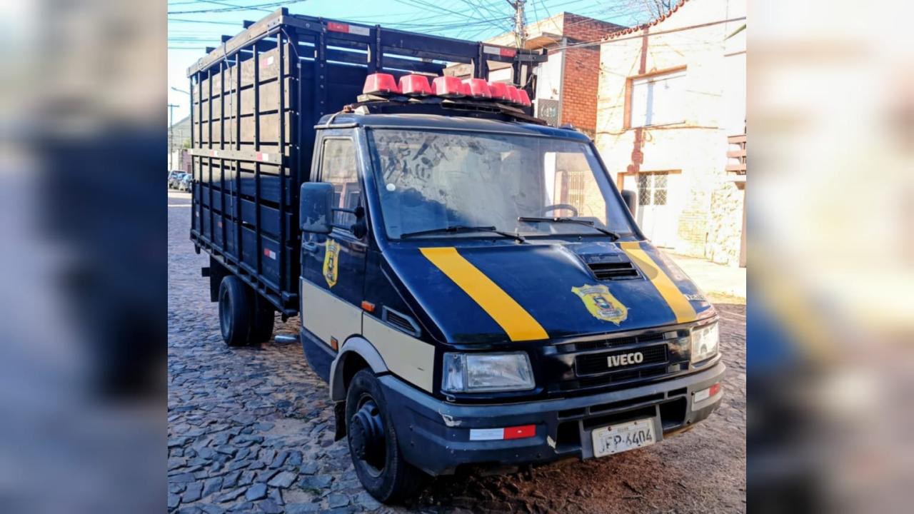 SSM informa o retorno do caminhão para recolhimento de animais em Bagé