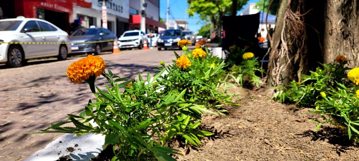 Canteiros da Sete de Setembro recebem plantio de mudas de flores