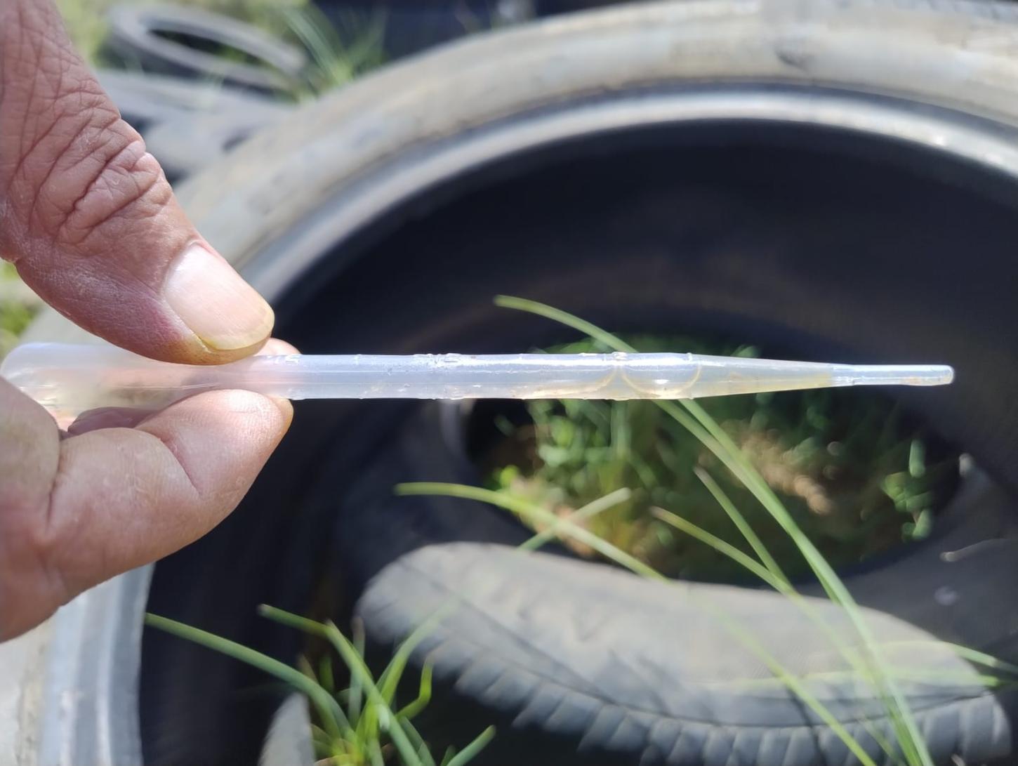 Levantamento busca identificação de possíveis criadouros para o mosquito Aedes aegypti em Bagé