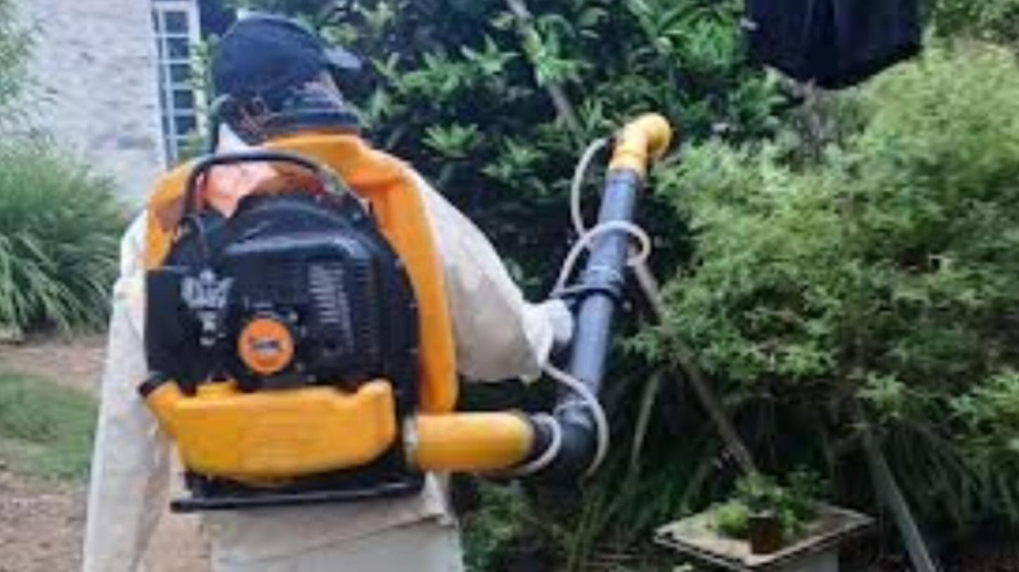 Vigilância em Saúde intensifica ações de monitoramento e controle do Aedes aegypti