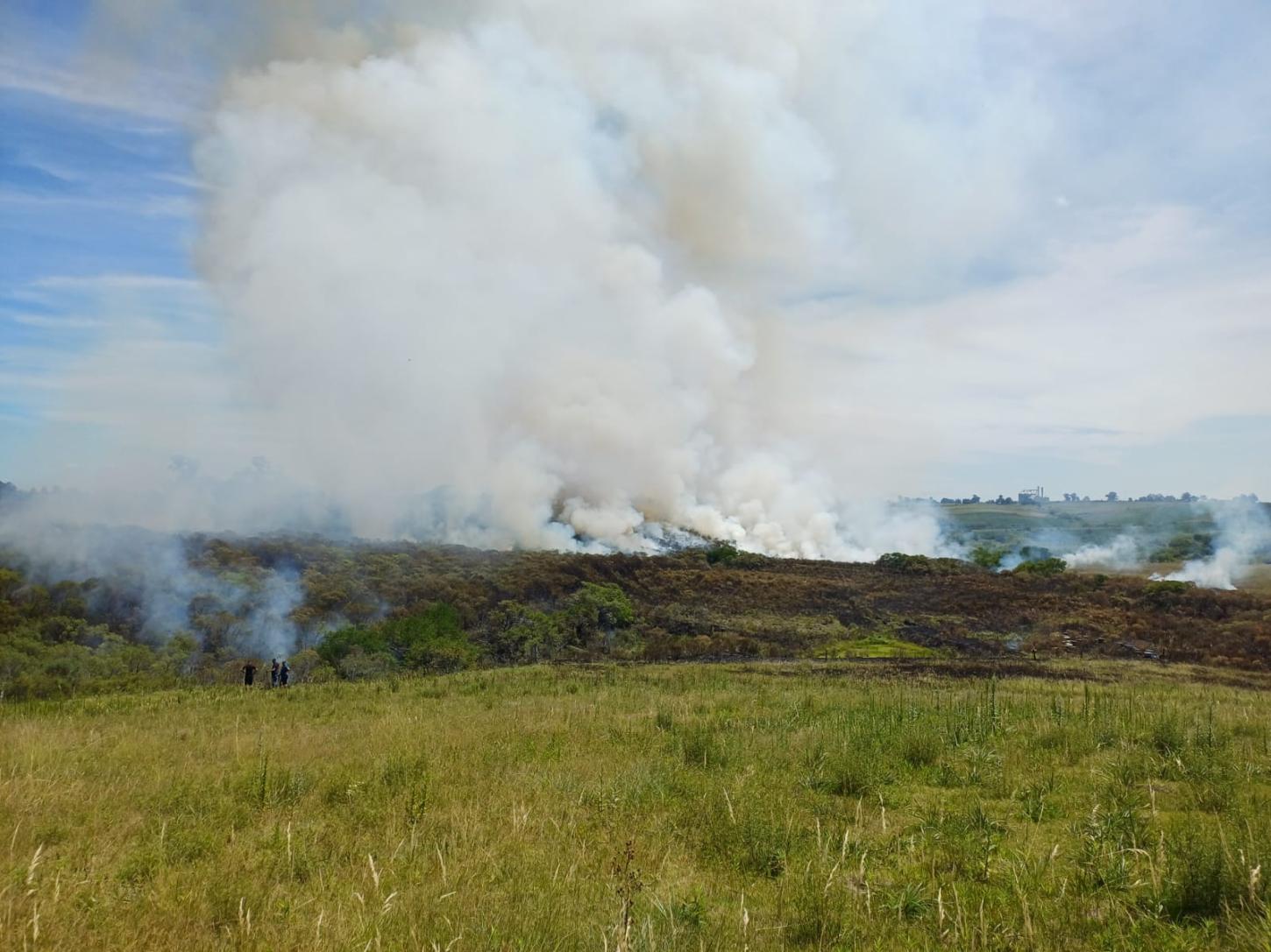 Incêndio em campo mobiliza Defesa Civil na localidade da Colônia Nova