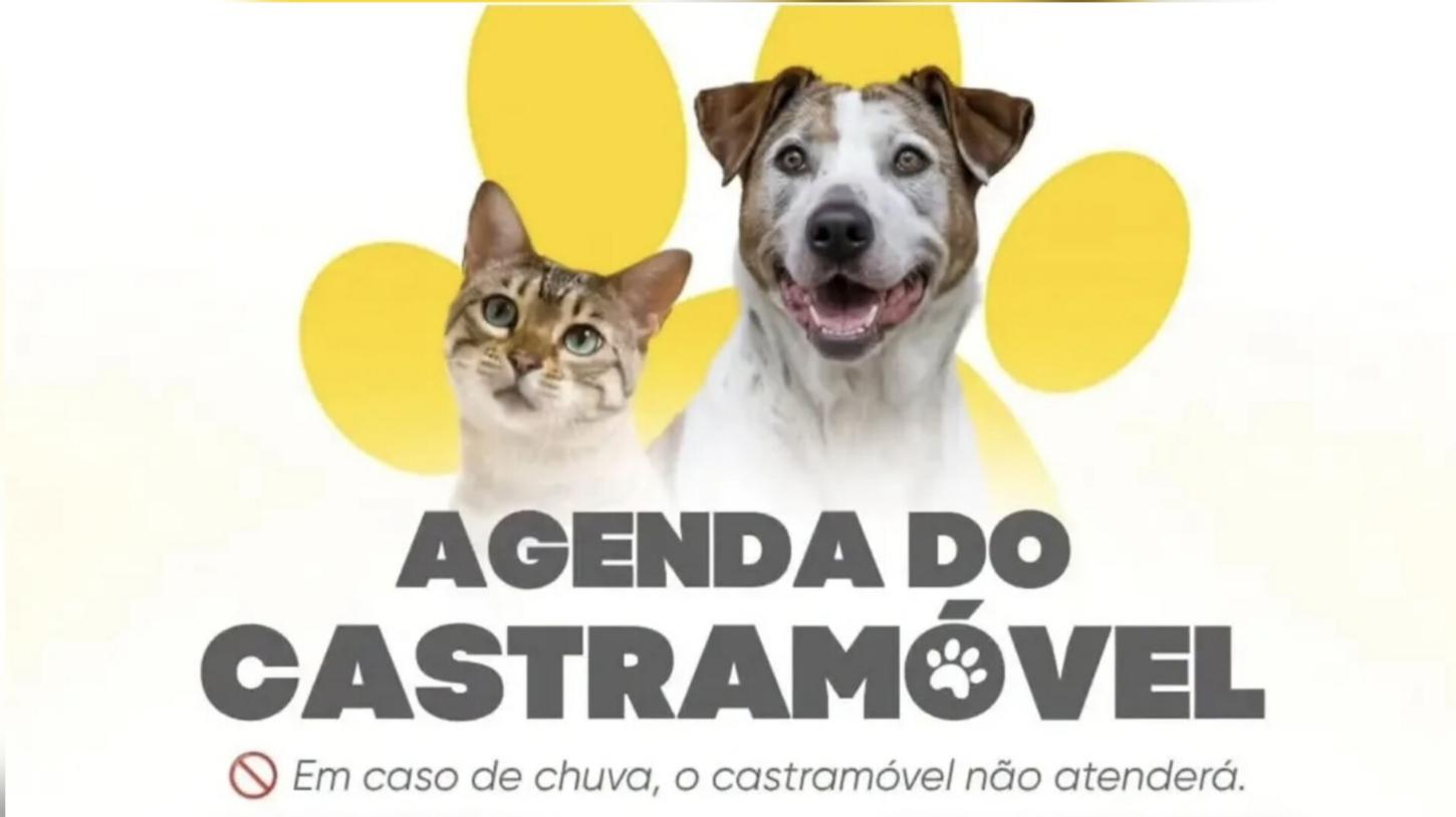 Coordenadoria do Bem Estar Animal divulga agenda do Castramóvel em Bagé