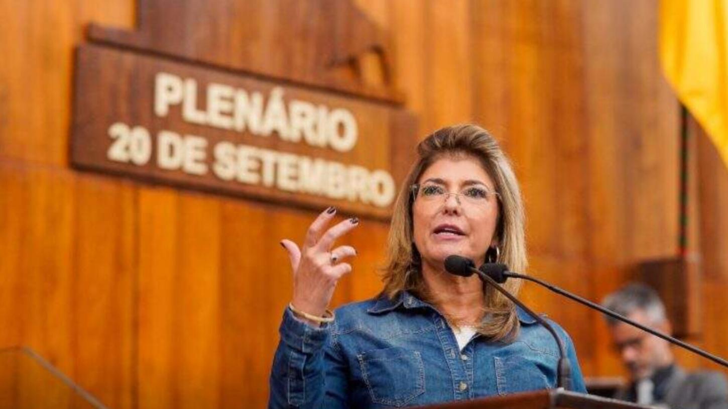 Projeto busca transformar erva-mate gaúcha em referência em inovação